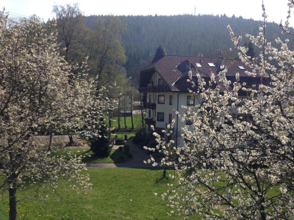 Hotel Enz Residenz Enzklösterle Exterior foto